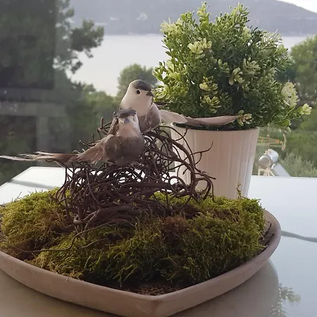 Lejlighed Deluxe Dina